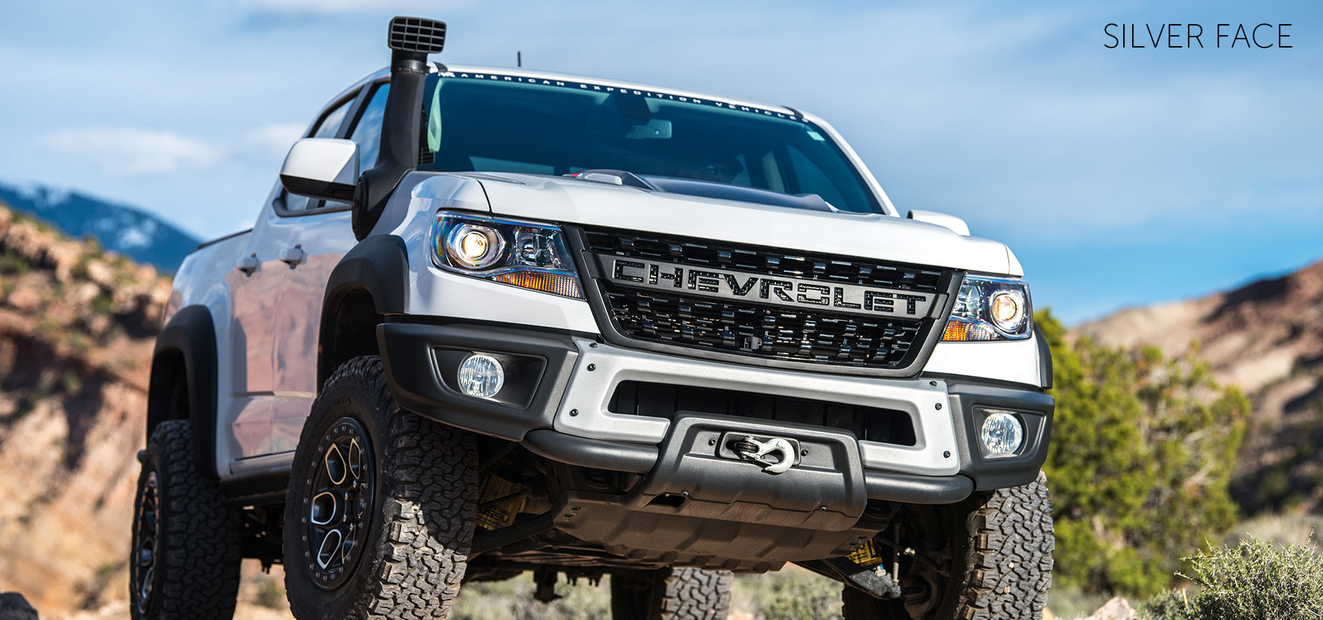 Detail Bison Brush Guard Nomer 47