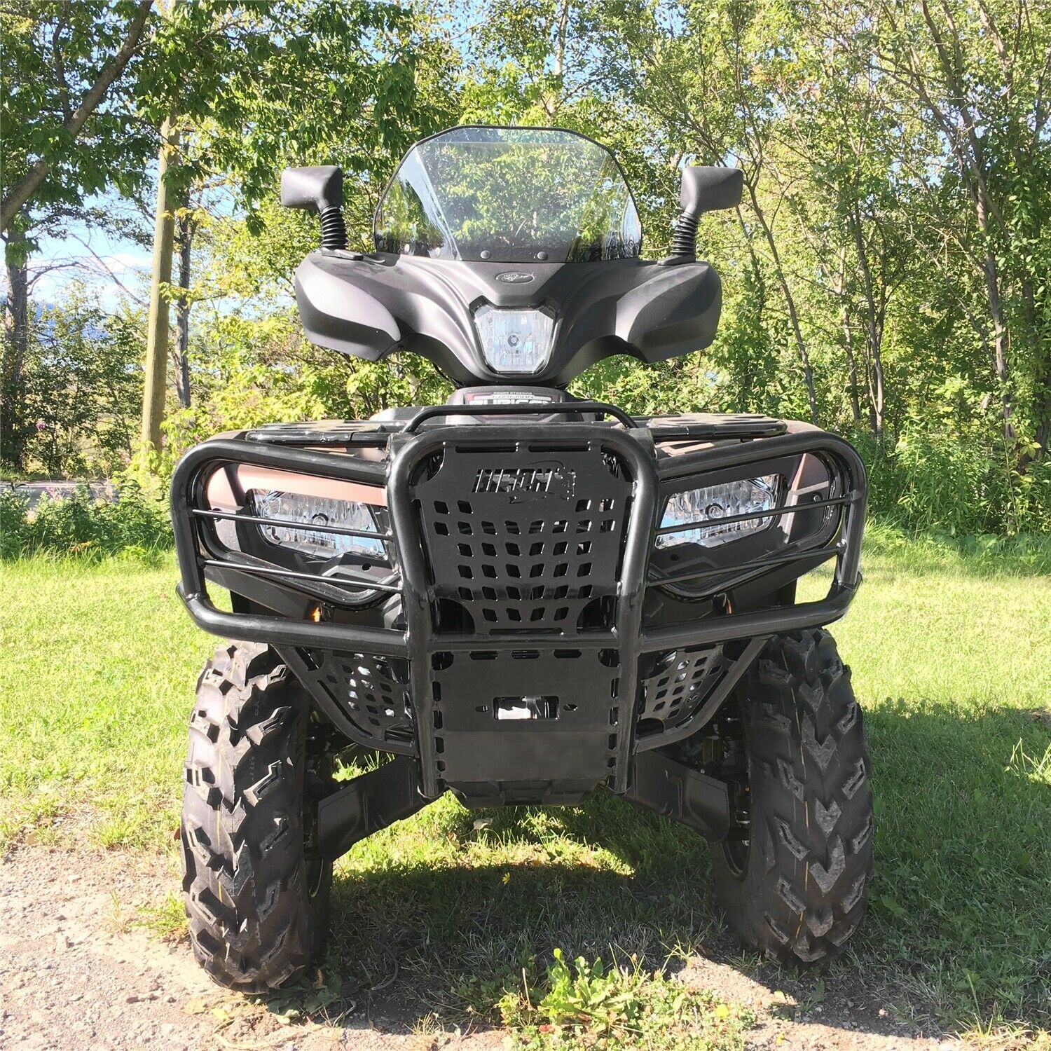 Detail Bison Brush Guard Nomer 7