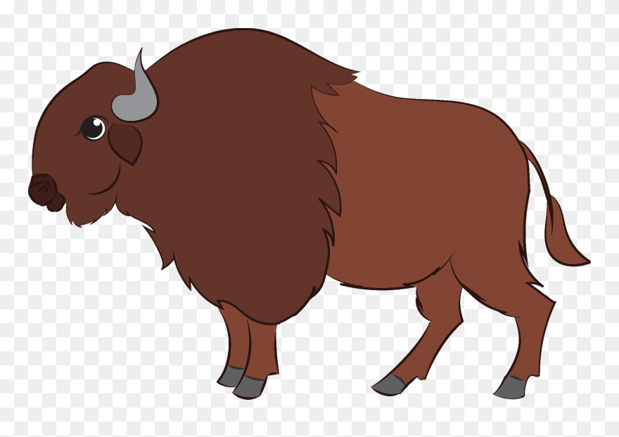 Bison Clipart - KibrisPDR