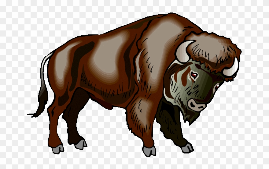 Detail Bison Clipart Nomer 19