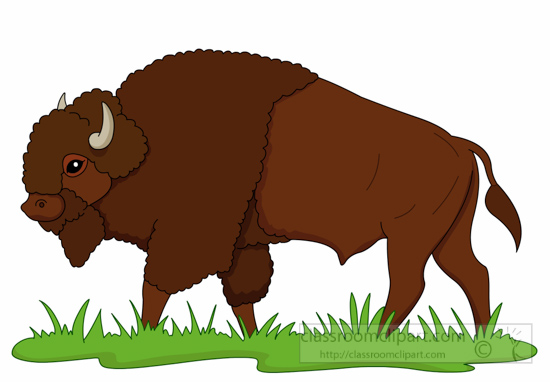 Detail Bison Clipart Nomer 2