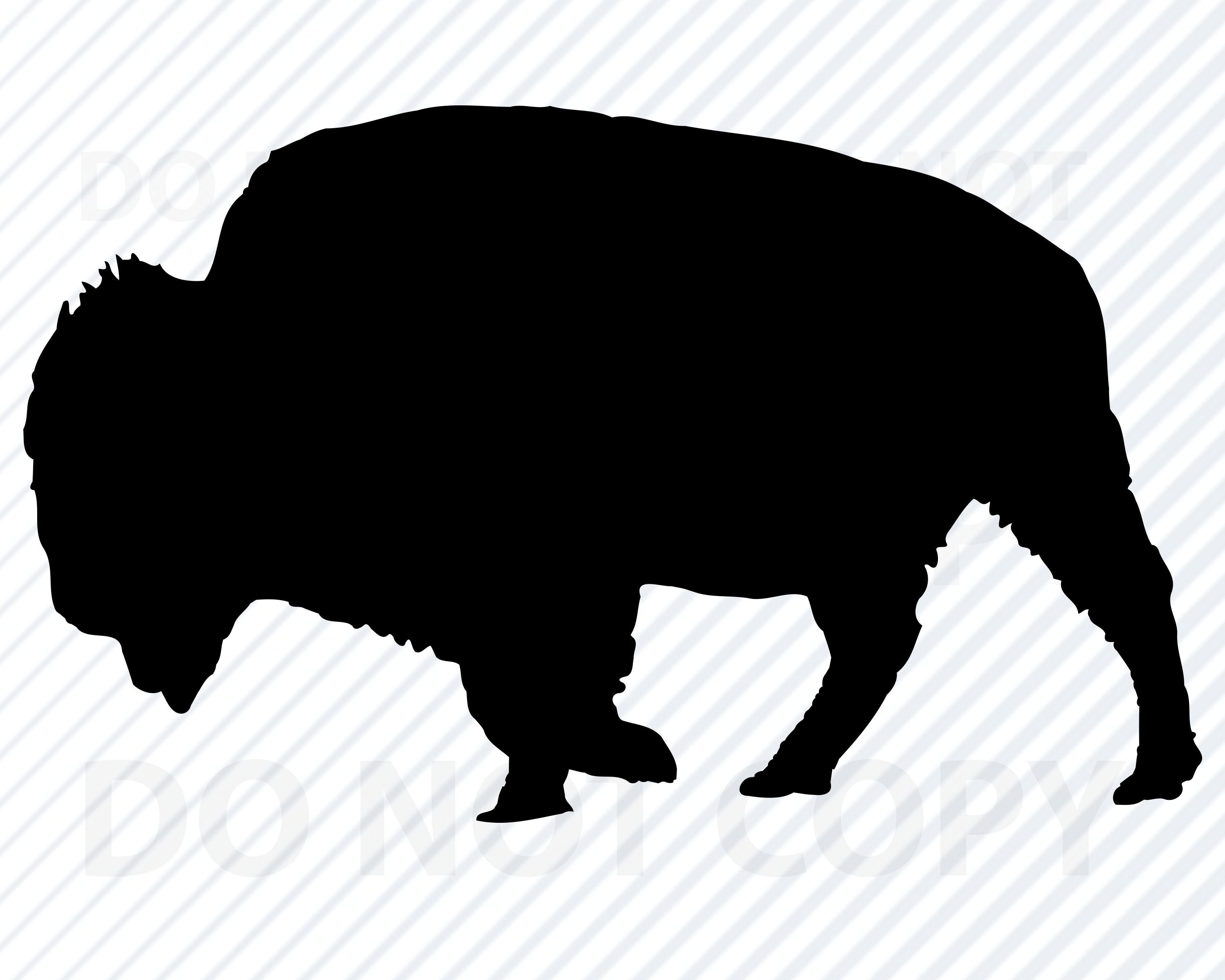 Detail Bison Clipart Nomer 26