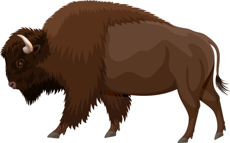 Detail Bison Clipart Nomer 3