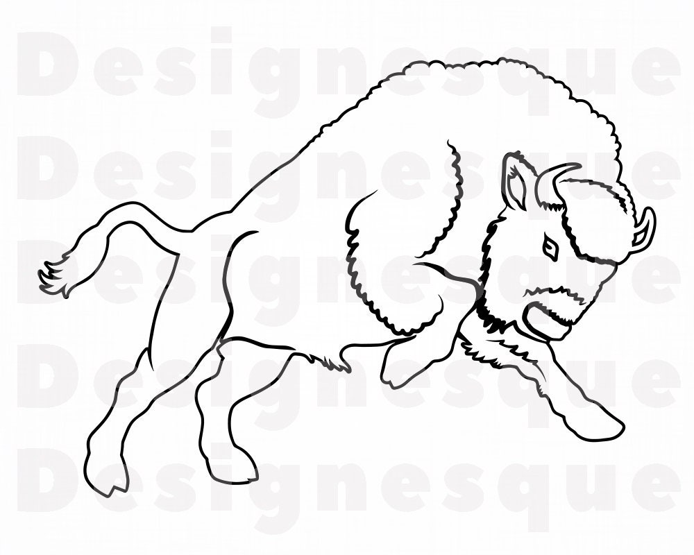 Detail Bison Clipart Nomer 39