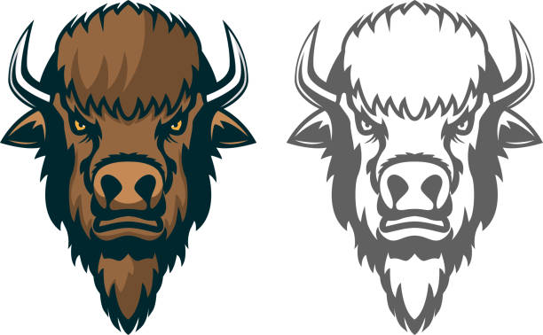 Detail Bison Clipart Nomer 41