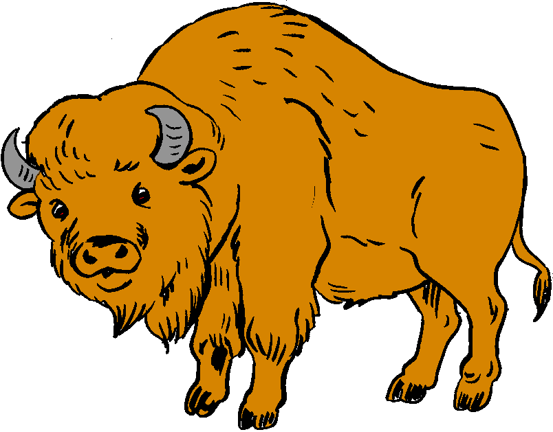 Detail Bison Clipart Nomer 5