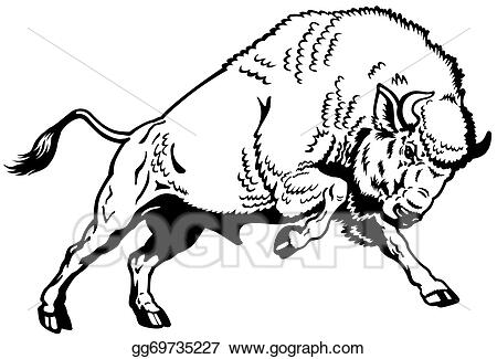 Detail Bison Clipart Nomer 48