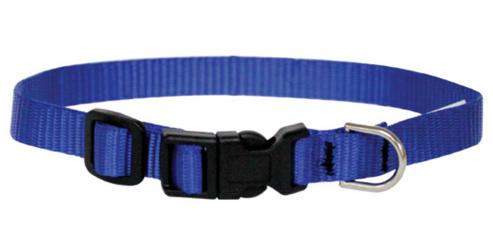 Detail Bison Designs Dog Collar Nomer 4