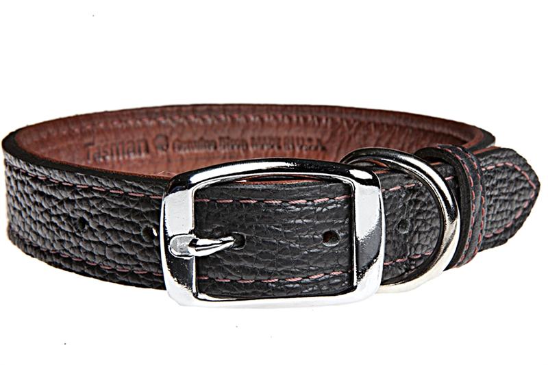 Detail Bison Dog Collar Nomer 16