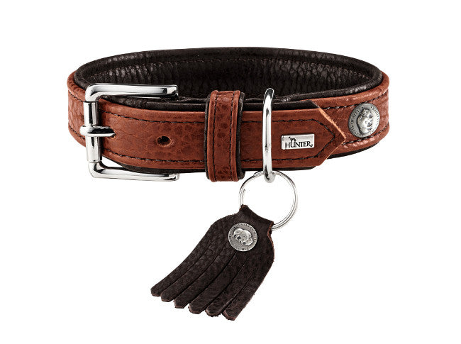 Detail Bison Dog Collar Nomer 10