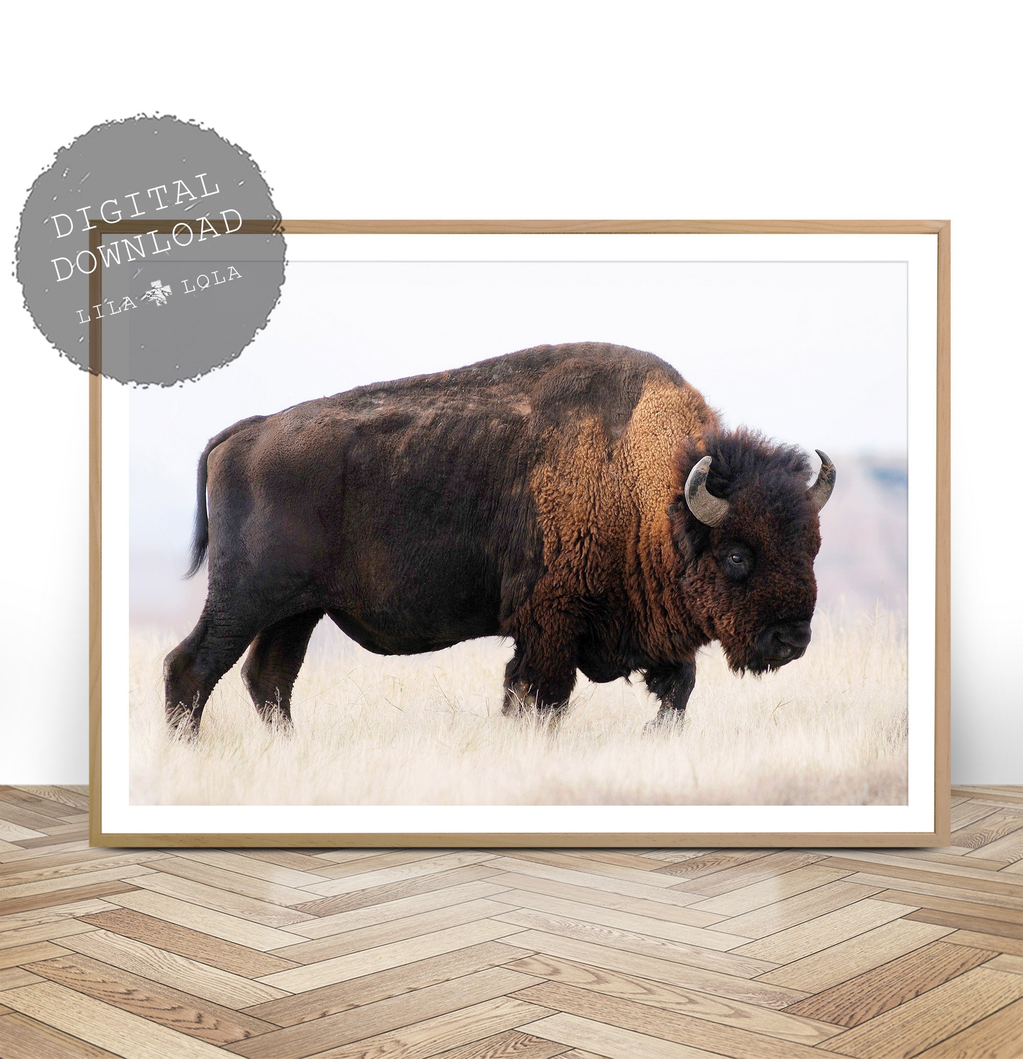 Detail Bison Download Nomer 17