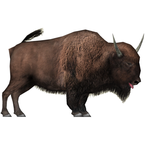 Detail Bison Download Nomer 3