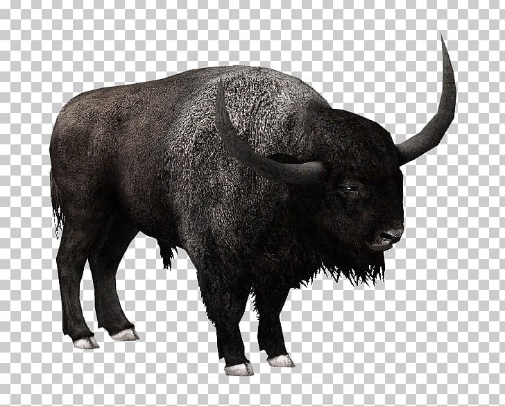 Detail Bison Download Nomer 21