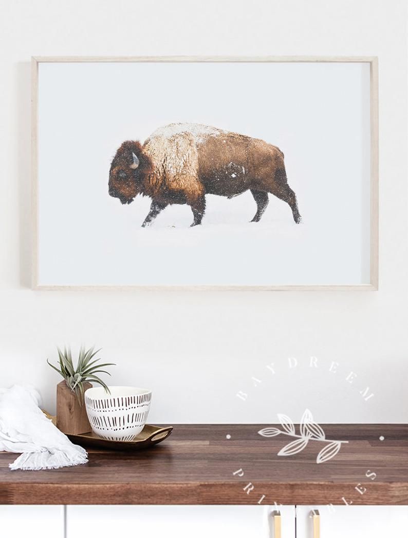 Detail Bison Download Nomer 30