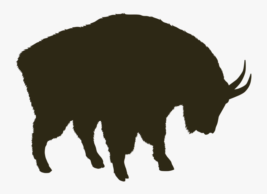Detail Bison Download Nomer 31