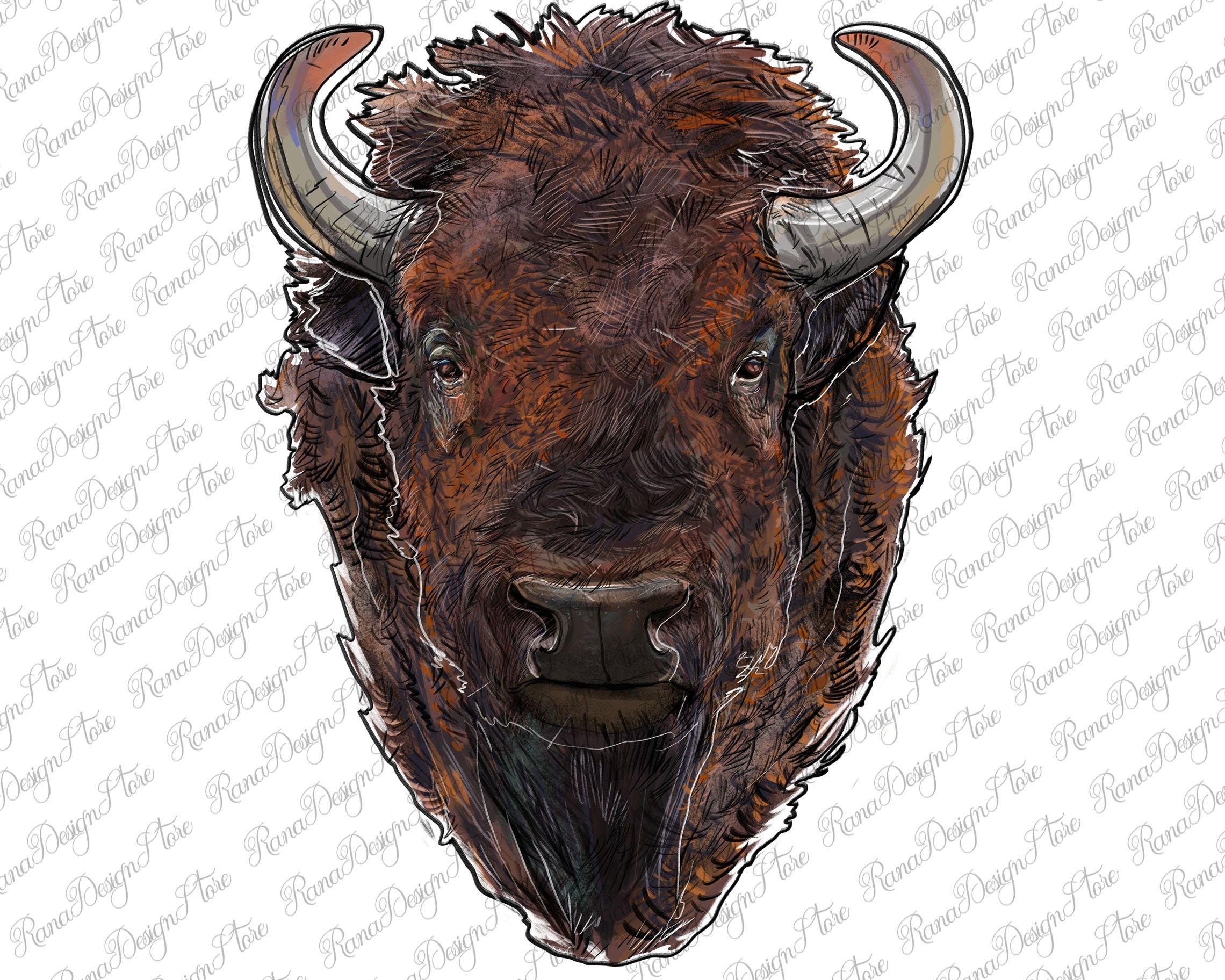 Detail Bison Download Nomer 32