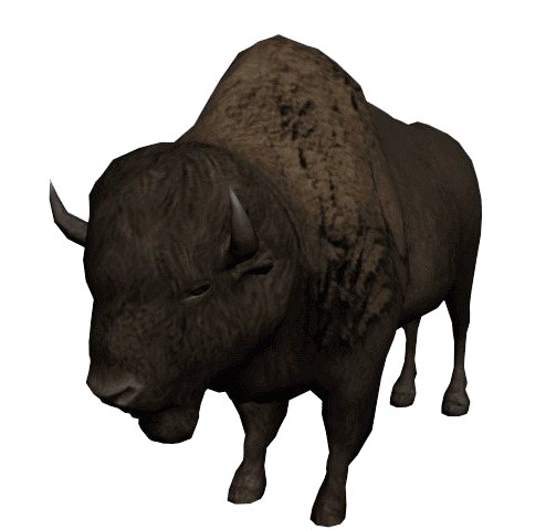 Detail Bison Download Nomer 34