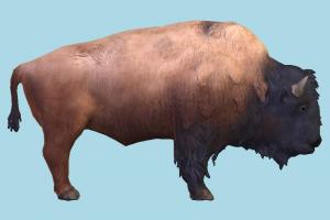 Detail Bison Download Nomer 53