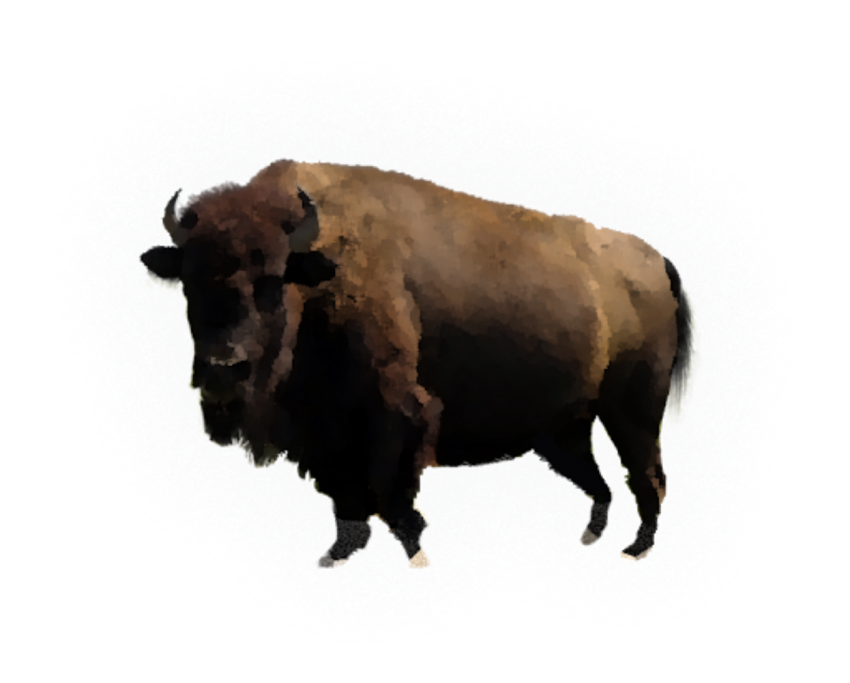 Detail Bison Download Nomer 56