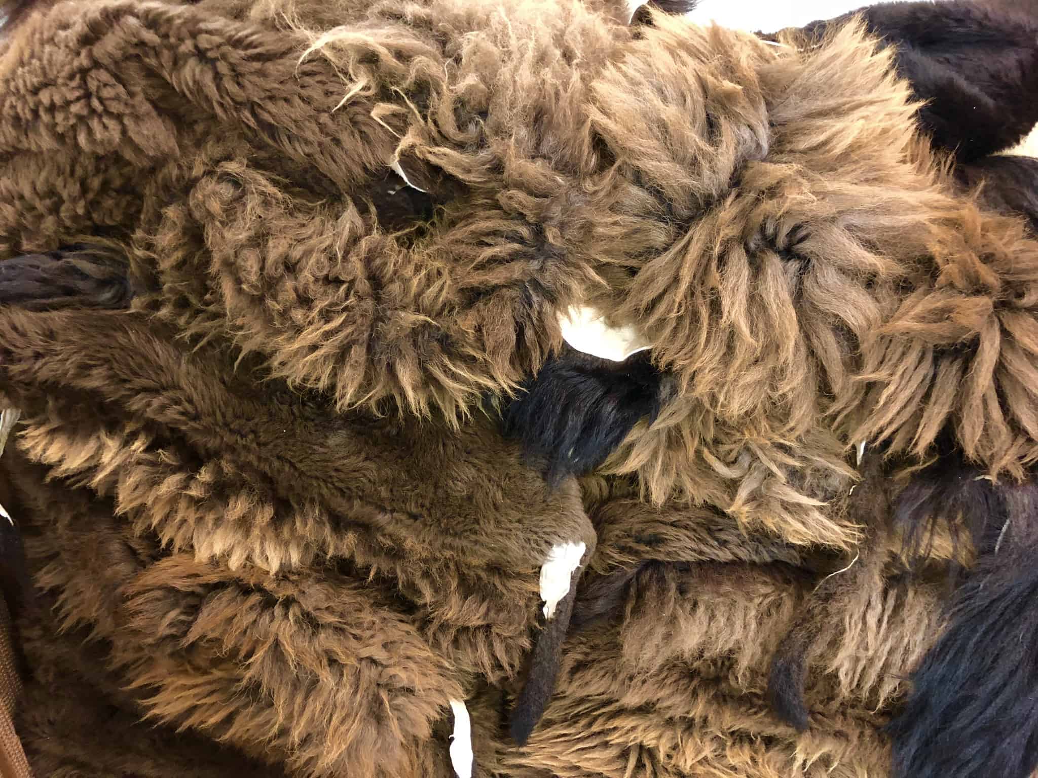 Bison Hide Blanket - KibrisPDR