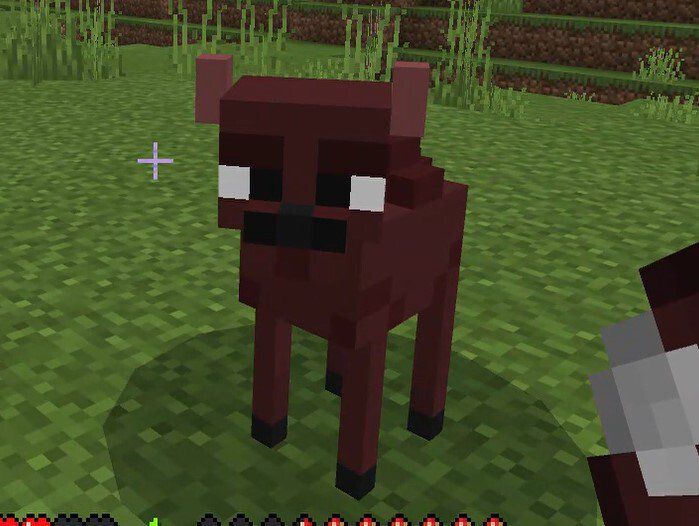 Detail Bison Minecraft Nomer 28
