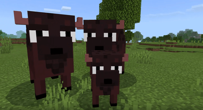 Detail Bison Minecraft Nomer 34