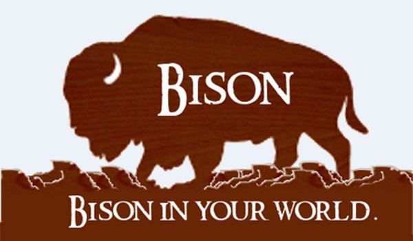 Detail Bison Minecraft Nomer 36