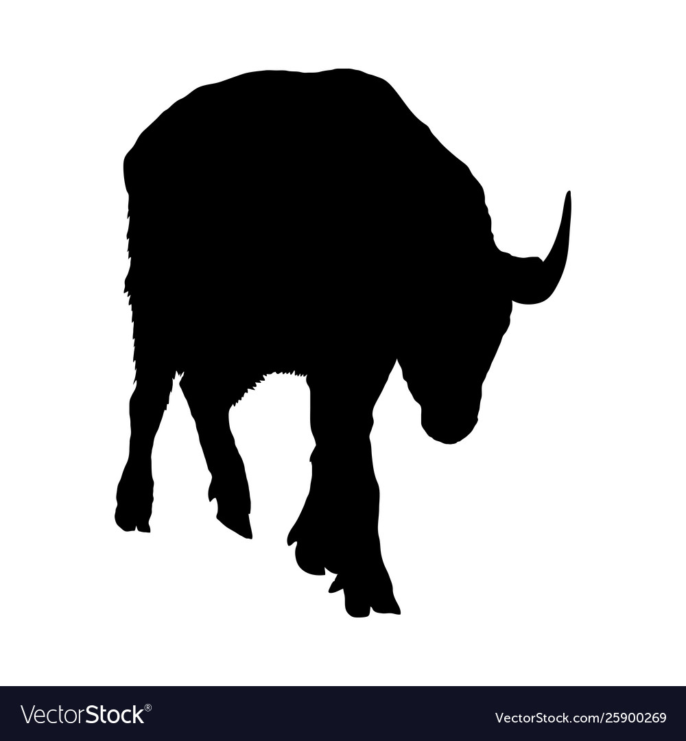 Detail Bison Silhouette Vector Nomer 15