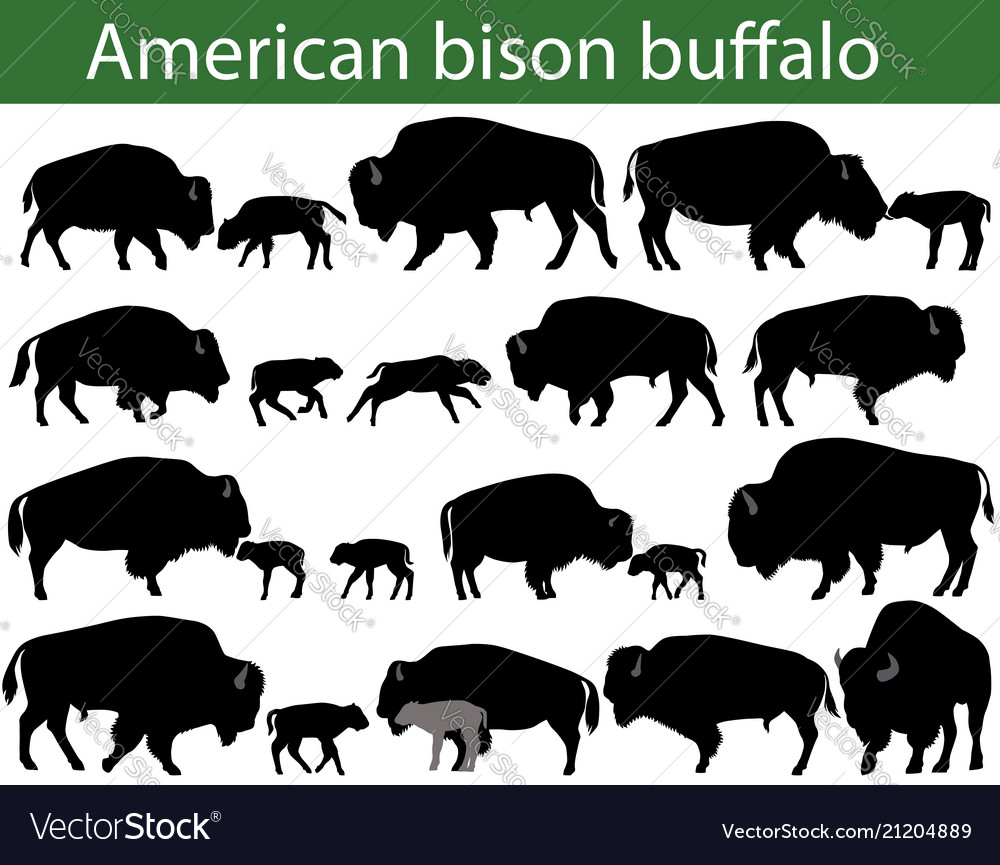 Detail Bison Silhouette Vector Nomer 30