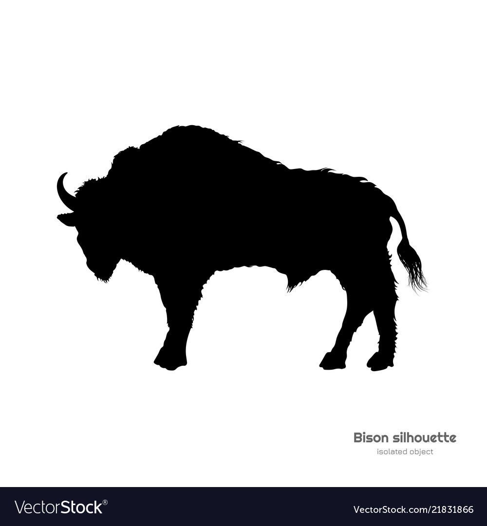 Detail Bison Silhouette Vector Nomer 33