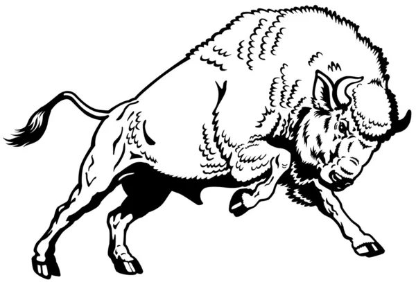 Detail Bison Silhouette Vector Nomer 34
