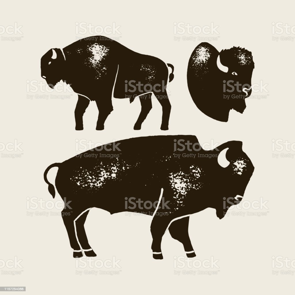 Detail Bison Silhouette Vector Nomer 36