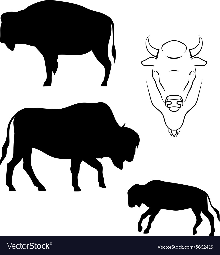 Detail Bison Silhouette Vector Nomer 41