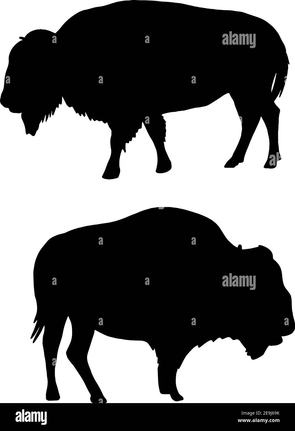 Detail Bison Silhouette Vector Nomer 51