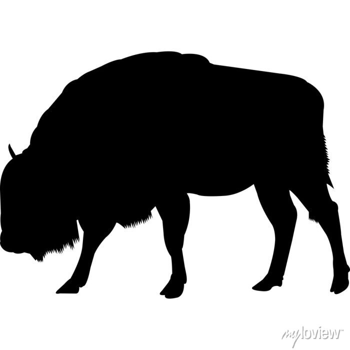 Detail Bison Silhouette Vector Nomer 56