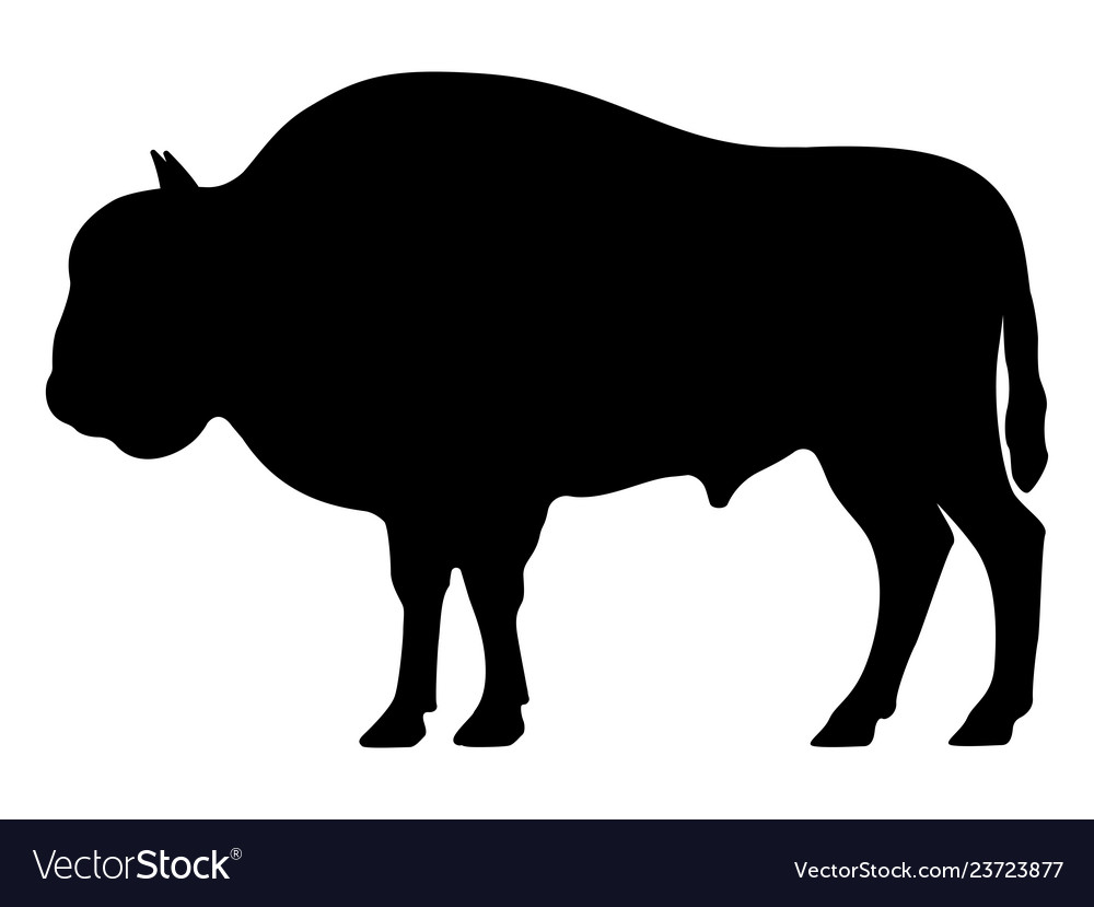 Detail Bison Silhouette Vector Nomer 7