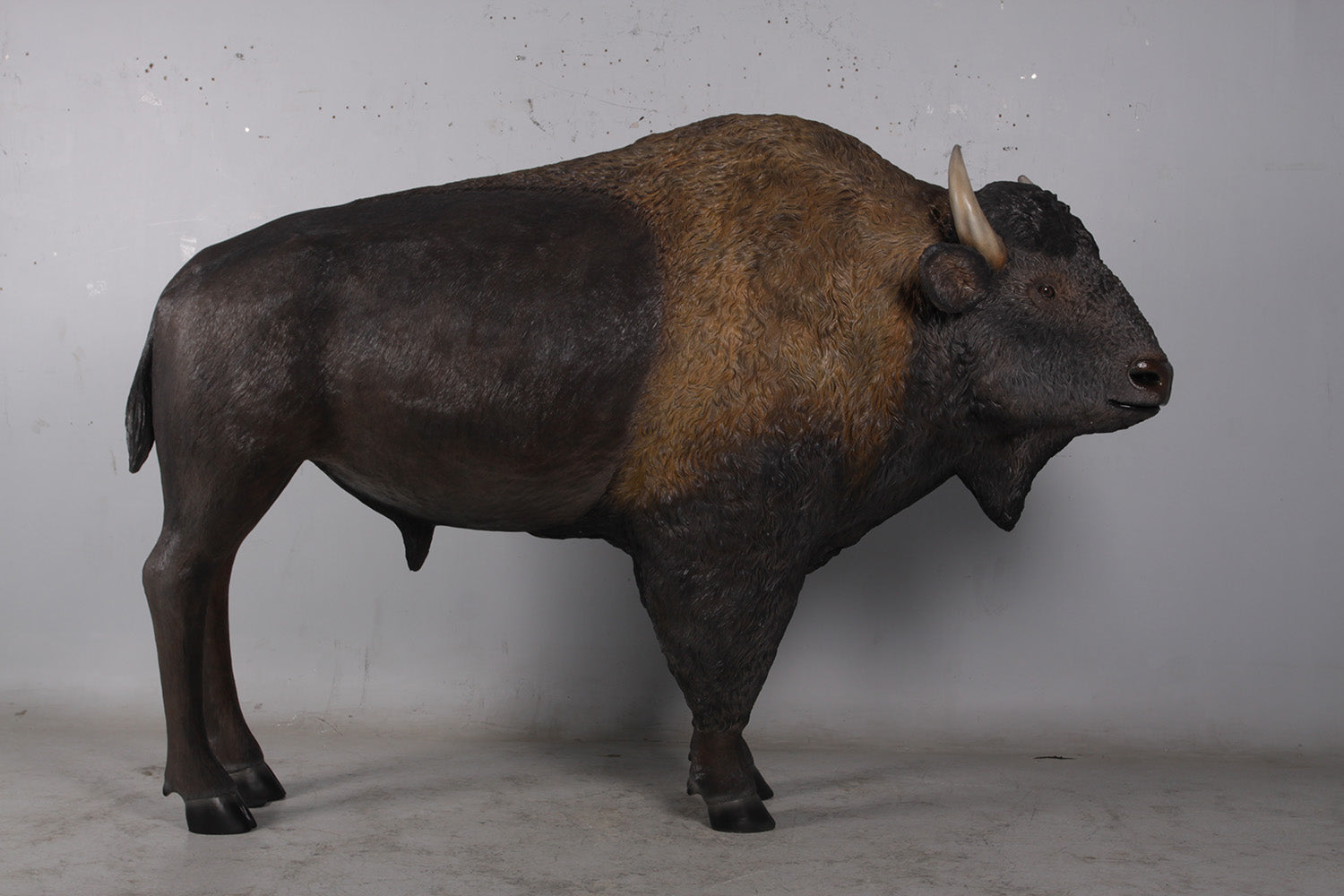 Detail Bison Vs Banteng Nomer 20
