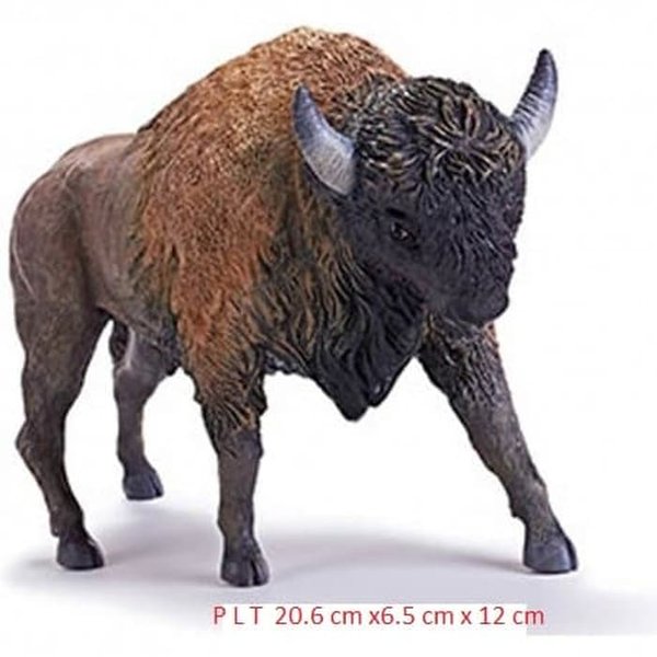 Detail Bison Vs Banteng Nomer 40