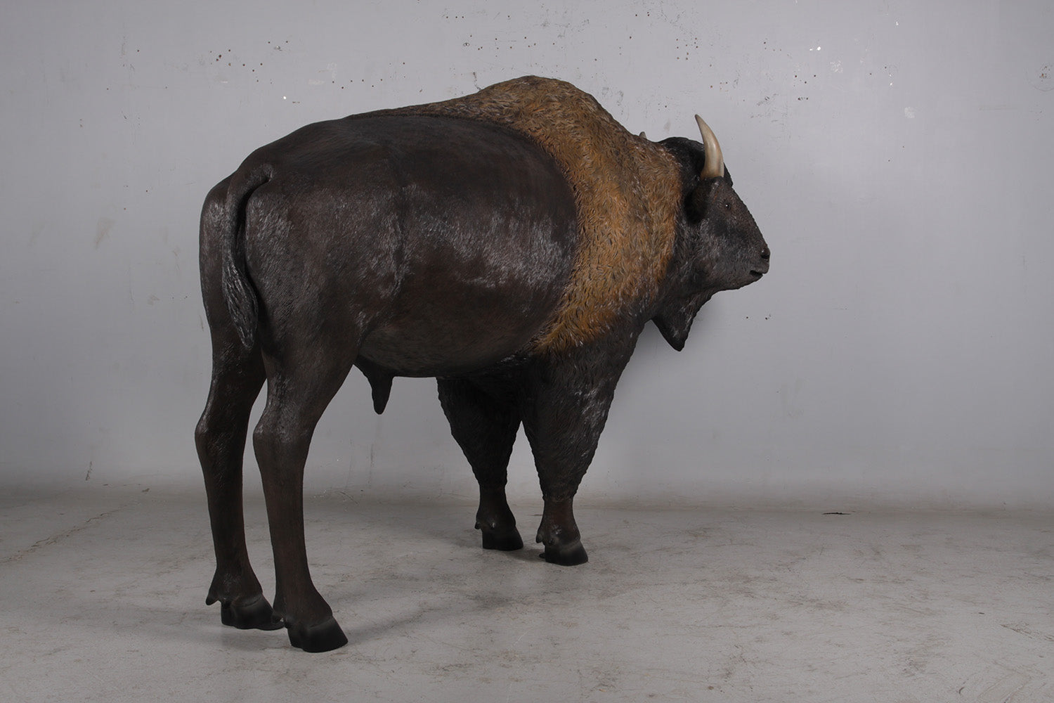 Detail Bison Vs Banteng Nomer 42
