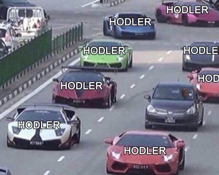Detail Bitcoin Lambo Meme Nomer 2