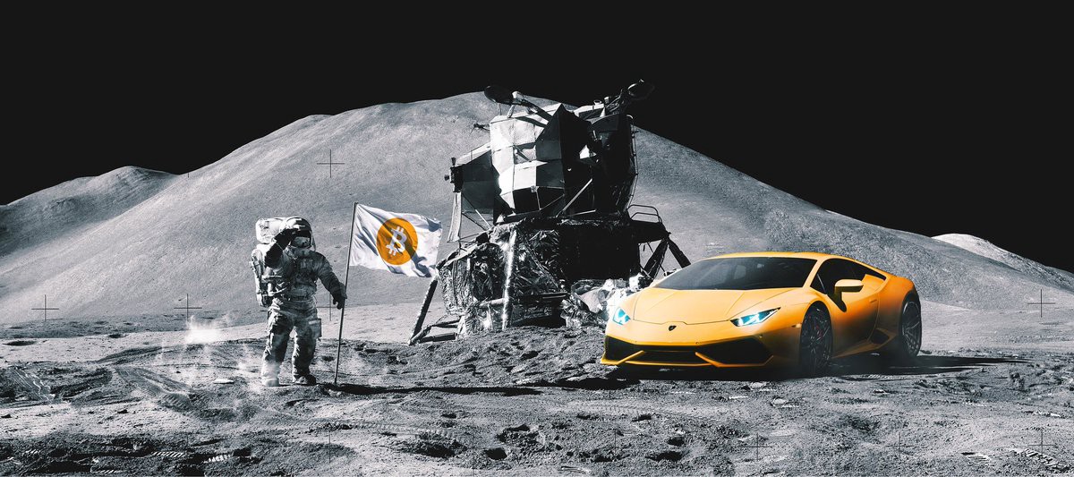 Detail Bitcoin Lambo Meme Nomer 20