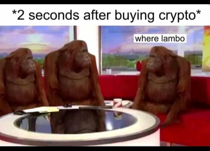 Detail Bitcoin Lambo Meme Nomer 35