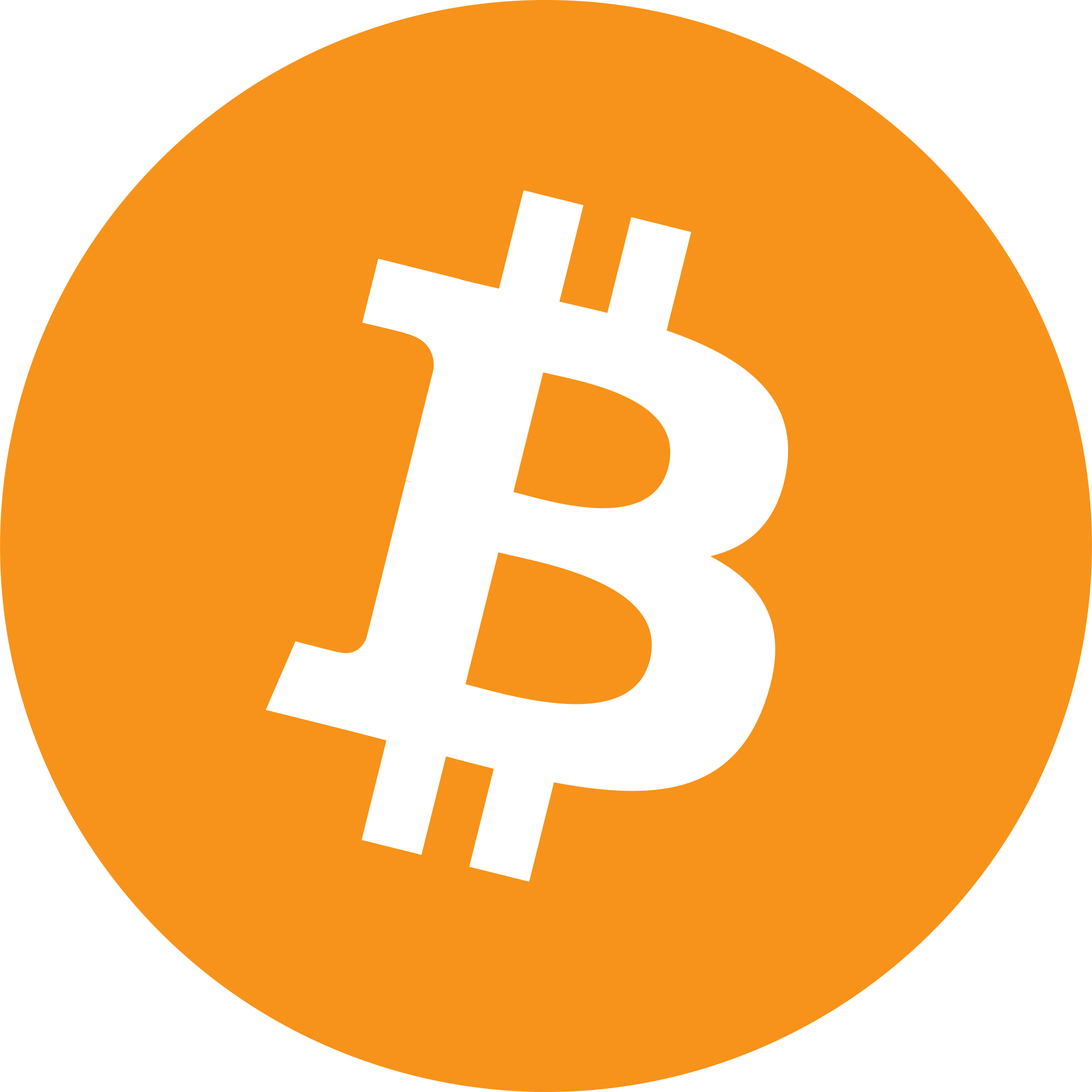 Detail Bitcoin Transparent Nomer 2