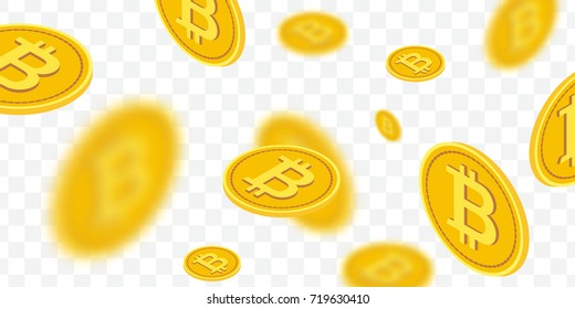 Detail Bitcoin Transparent Nomer 31