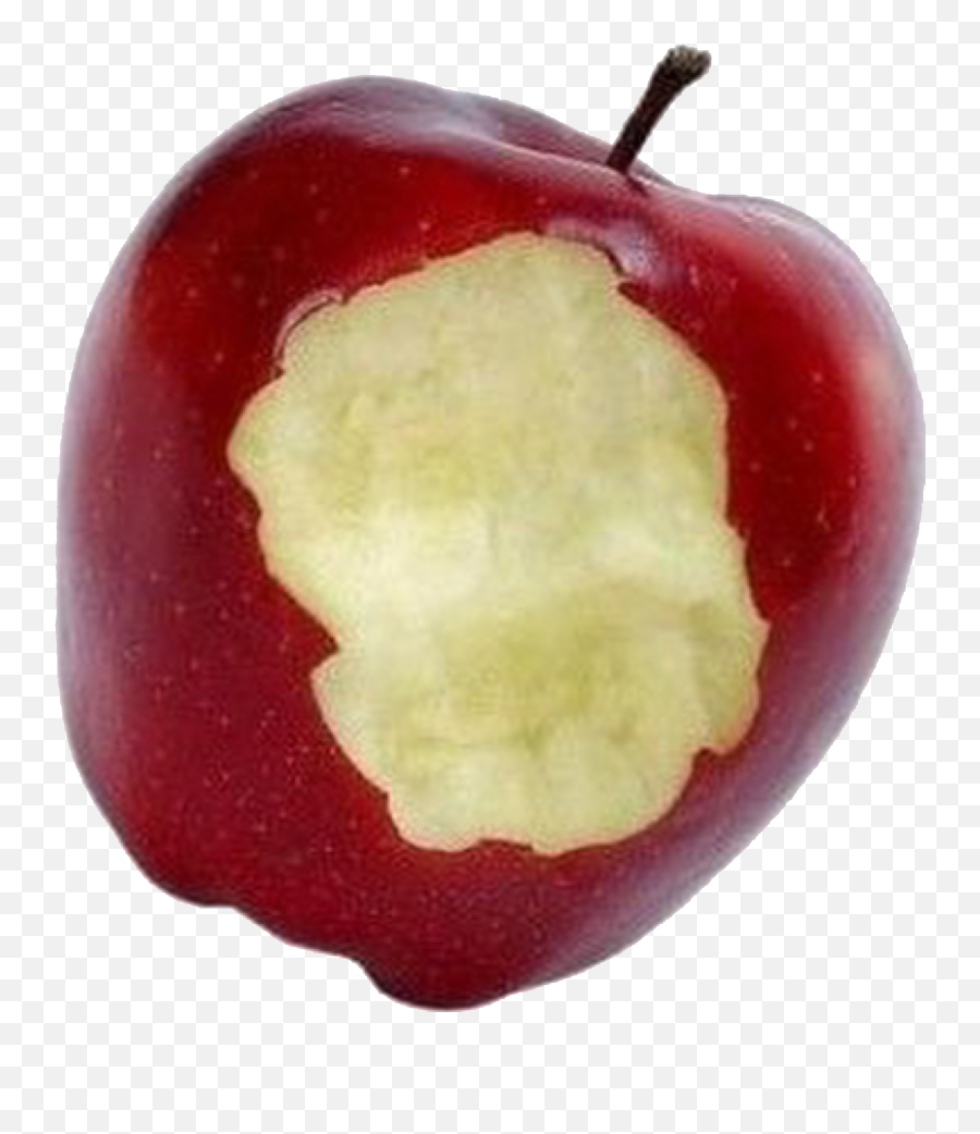 Detail Bitten Apple Png Nomer 45