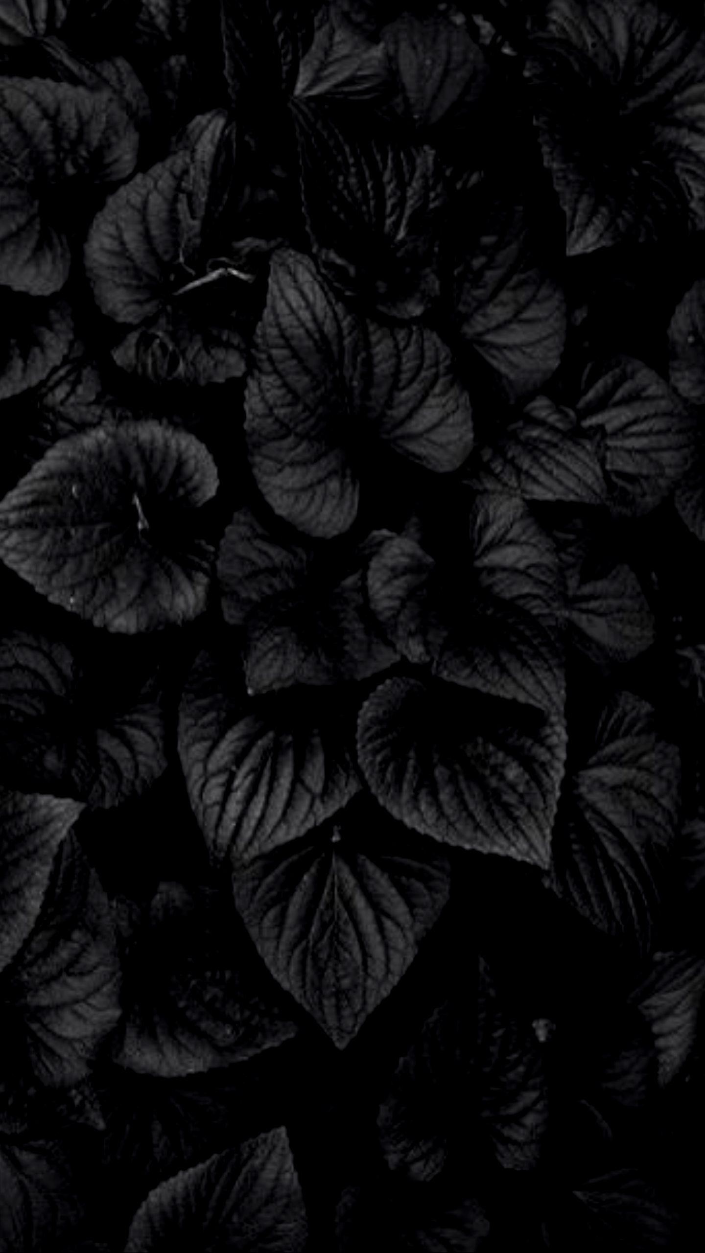 Detail Black 4k Wallpaper Nomer 11