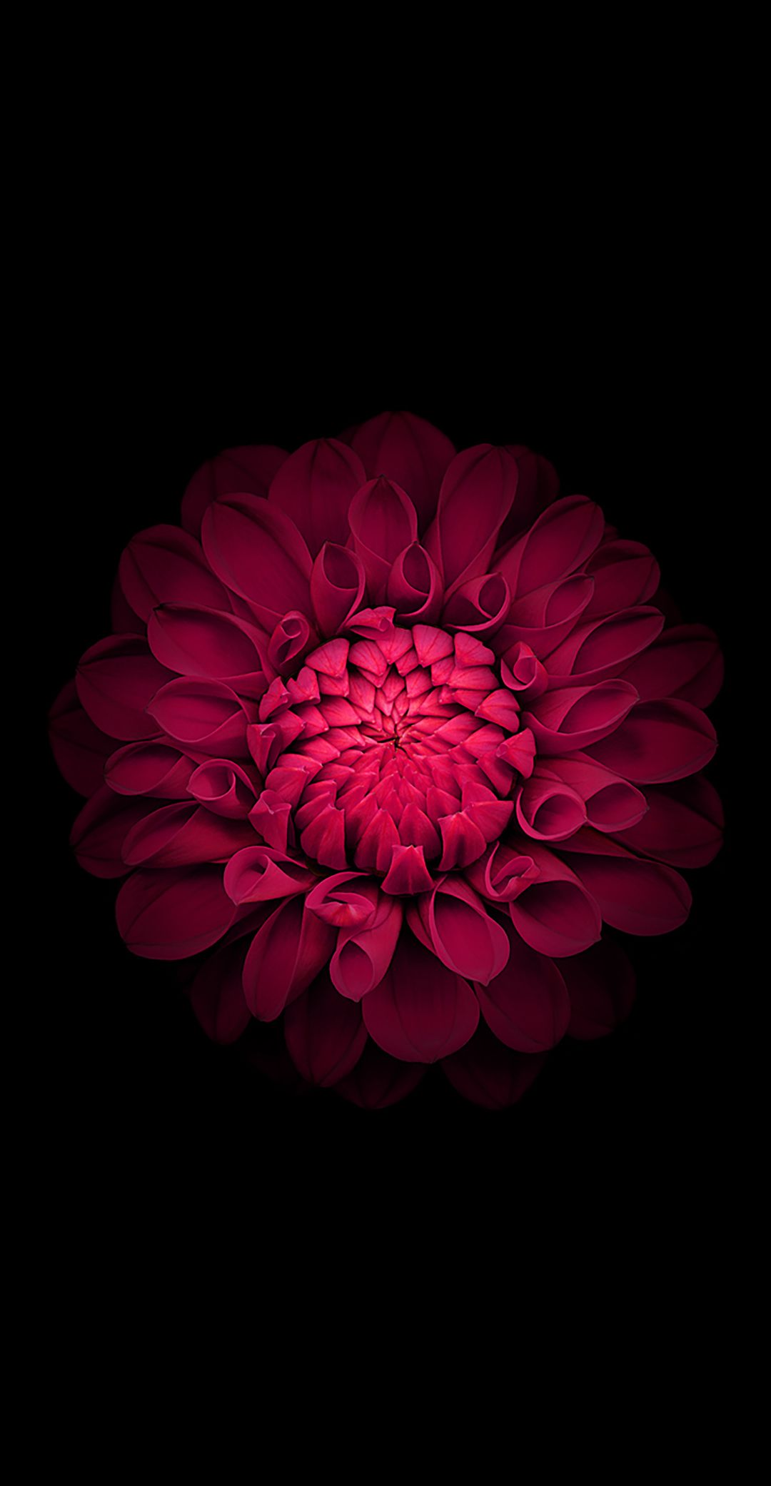 Detail Black Amoled Wallpaper Nomer 31