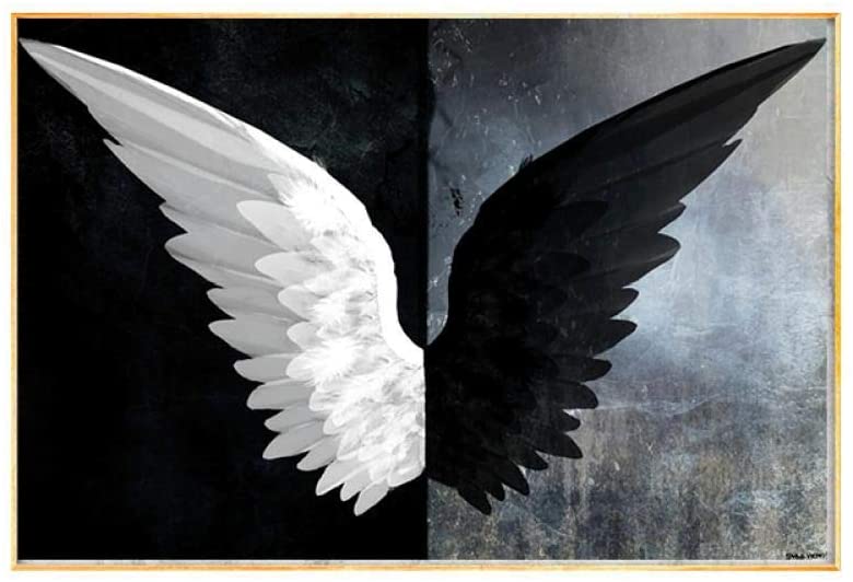 Black And White Angel Wings - KibrisPDR