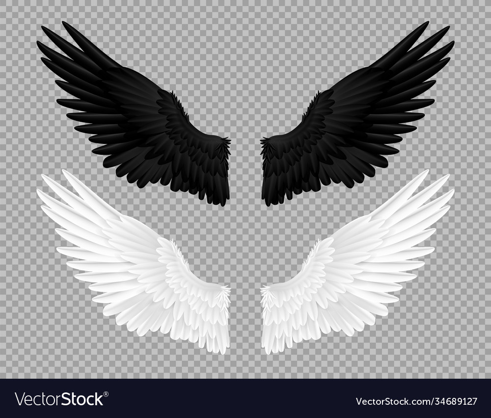 Detail Black And White Angel Wings Nomer 2