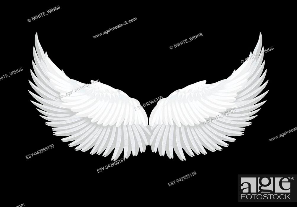 Detail Black And White Angel Wings Nomer 26